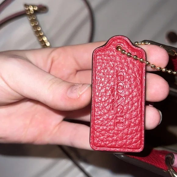 Mini Pepper Crossbody Coach Purse in Colorblock display picture 2
